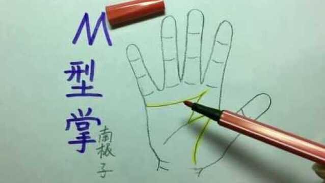 掌纹看:手中有M字母型掌纹,勤奋努力会让成功更近一步