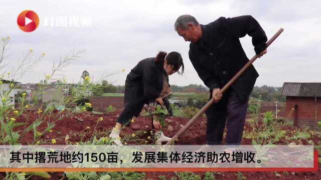 自贡富顺集中整治撂荒地发展集体经济主导产业 有贫困户收入增加一倍