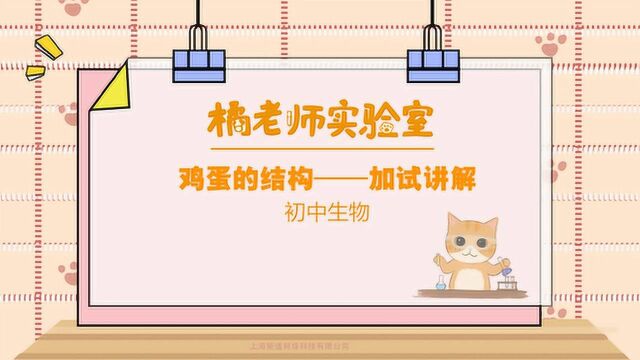 橘老师课堂第七十一期:鸡蛋的结构