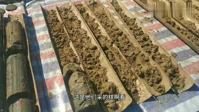 哈尔滨化工路这几天打桩测量,听说是要建高架桥,是真事吗