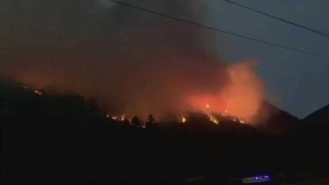 西藏林芝海拔3100米发生森林火灾:三座山过火,人员已疏散