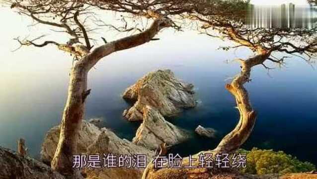 石头的《雨花石》,好听不厌,赶紧推荐给大家