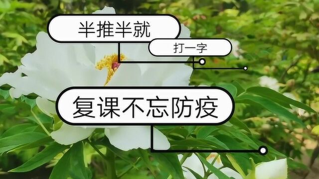 猜谜语:半推半就,打一字