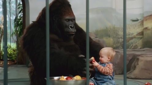 喜剧片：被拐小孩溜进动物园，遇见好心猩猩，吓得劫匪不敢靠近！