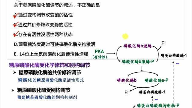 胡茹莉讲解考医考研生化200题之161180题