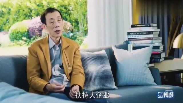 陈平教授的拥有很独特的见解,值得一看!