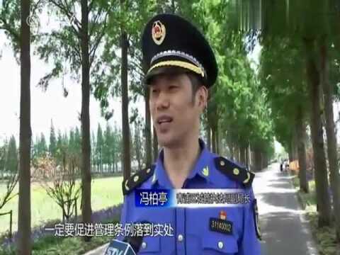 助力生活垃圾分类,青浦吴江联合开展专项执法