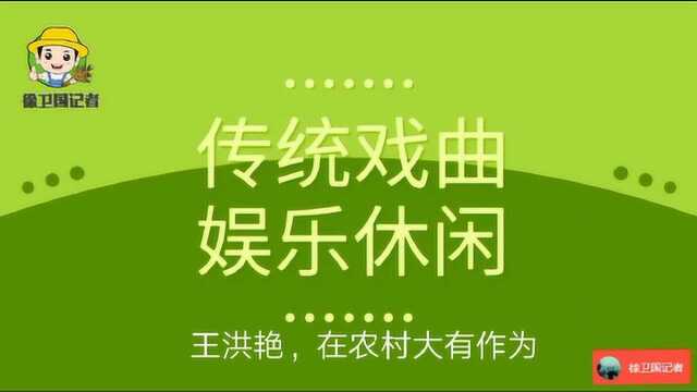 传统戏曲娱乐休闲,王洪艳,在农村大有作为