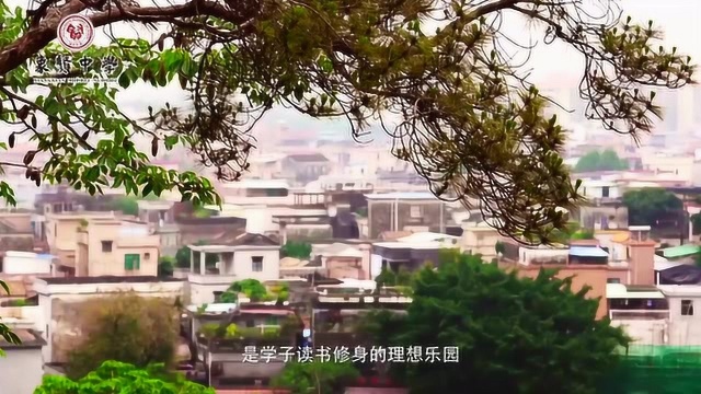 「百年名校丨象贤中学」2020年基本招生信息公布啦