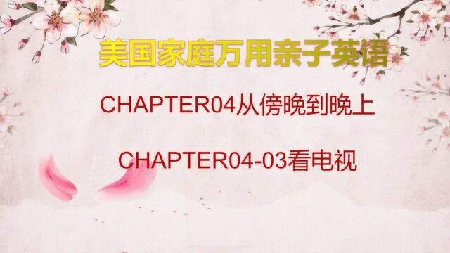 CHAPTER0403看电视