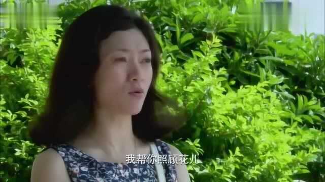 好剧:卢晓萌办这么多亏心事,没想到江暮遥可真大方,无耻小人!