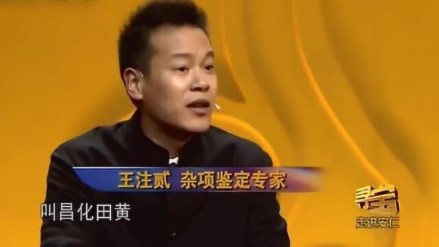 看世界:男子拿块石头鉴宝,专家:这是昌化田黄,一两田五两金!