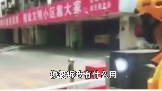 就这么怕阳光吗?就这么几米都不愿意走过来吗?一点人情味都没有