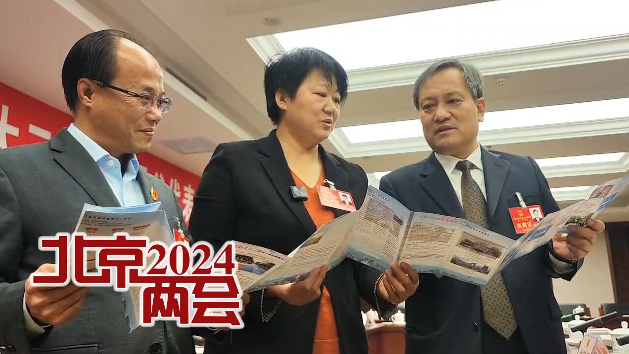 2024北京两会|代表热议北青《京城疏整促十年回顾》小册子