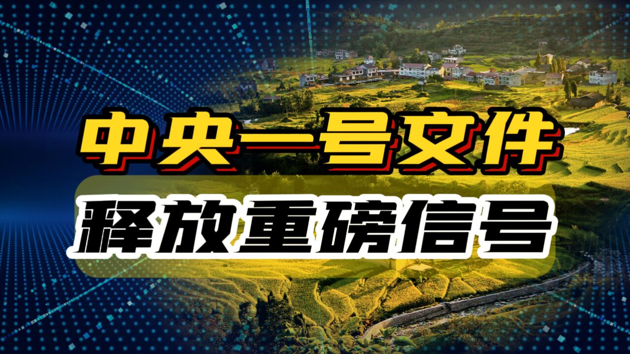 2024年中央一号文件:揭秘农村振兴的新蓝图与农民增收的新路径!