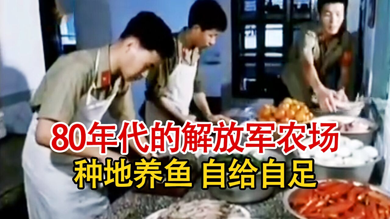 真实记录80年代的解放军农场:种菜养鱼自给自足,餐食也是十分丰富