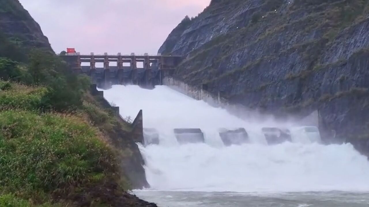 浙江多个水库泄洪,水流飞泄声势浩大,有鱼群急流中蹦跳出水面