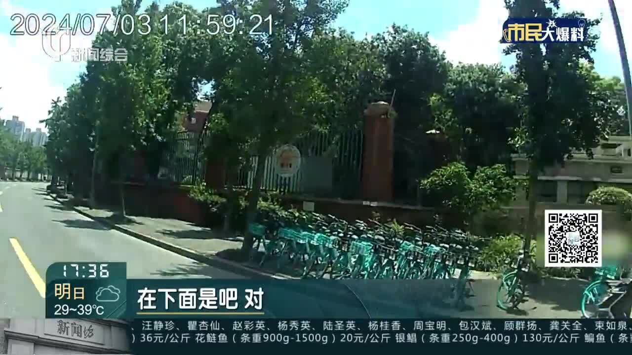 高温天小动物忙避暑 小狐狸警车车底“乘凉”