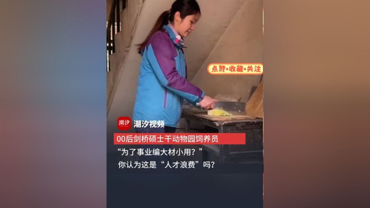 00后剑桥硕士干动物园饲养员,“为了事业编大材小用?”网友:你认为这是“人才浪费”吗?(来源:湖北经视)