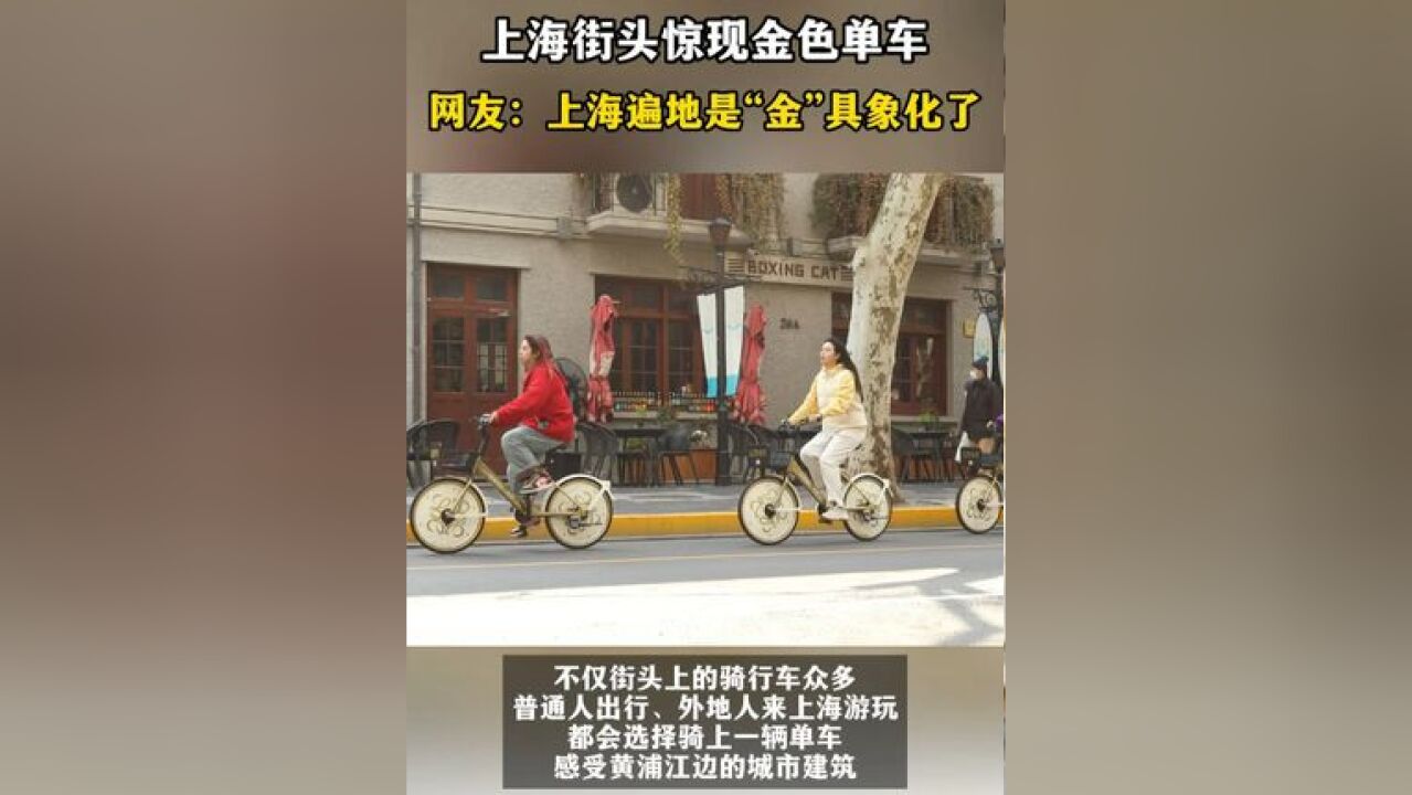 2025年的上海,骑行文化似乎更浓了!不仅街头上的骑行车众多,普通人出行、外地人来上海游玩,都会选择骑上一辆单车感受黄浦江边的城市建筑,大大小...