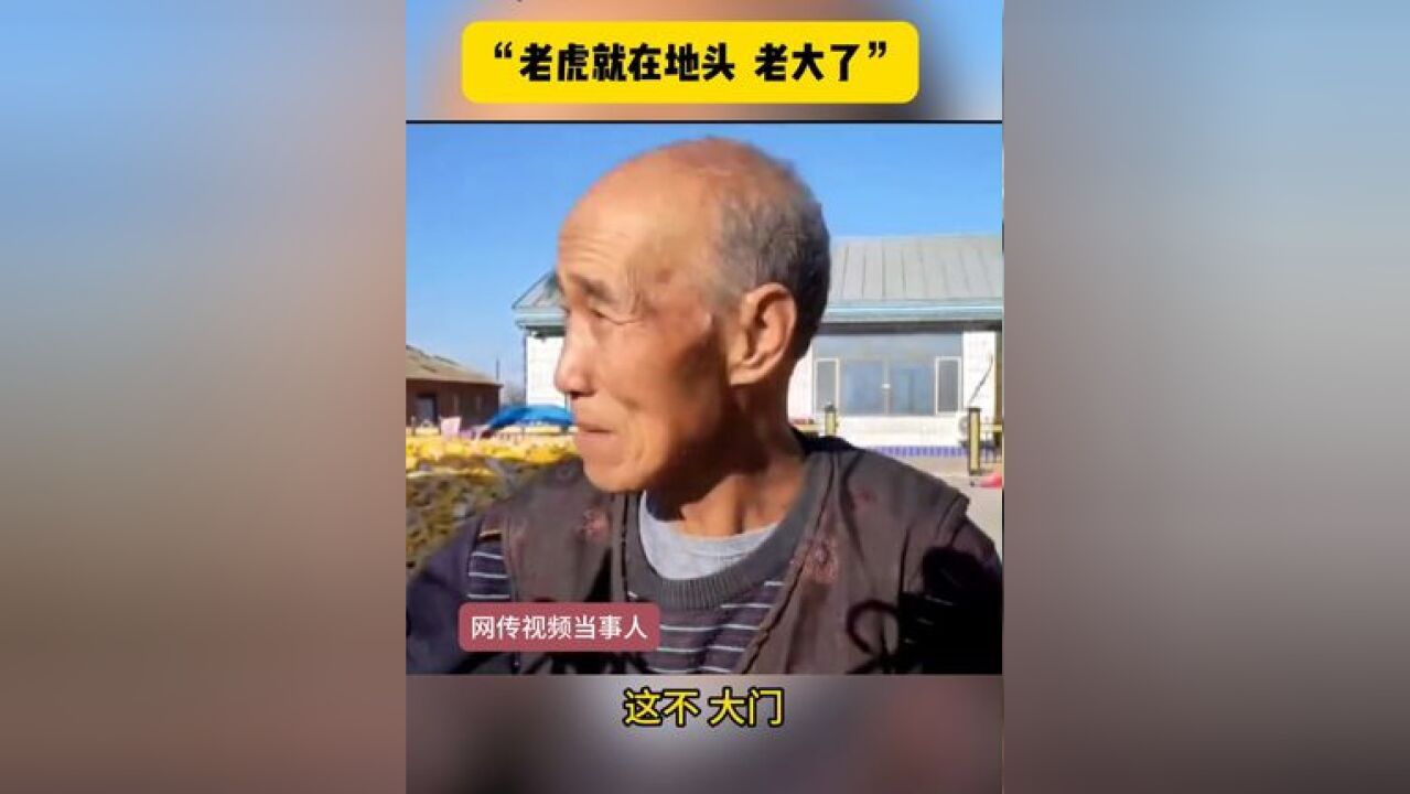 “老虎就在地头 老大了”网传视频老人讲述“虎口脱险”