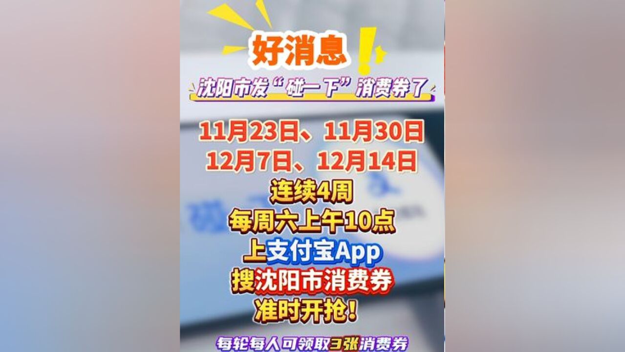 周六10点开抢!沈阳市发“碰一下”消费券啦!