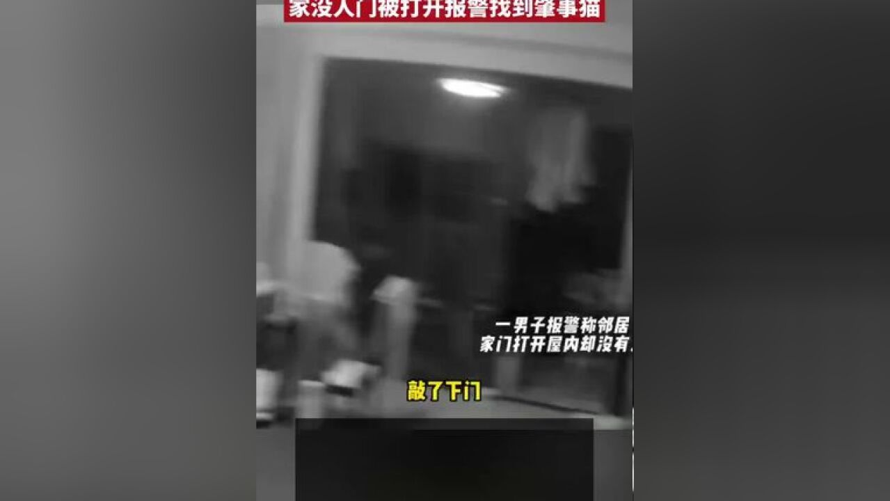 男子发现邻居家门敞开报警闹乌龙,家没人门被打开报警找到肇事猫