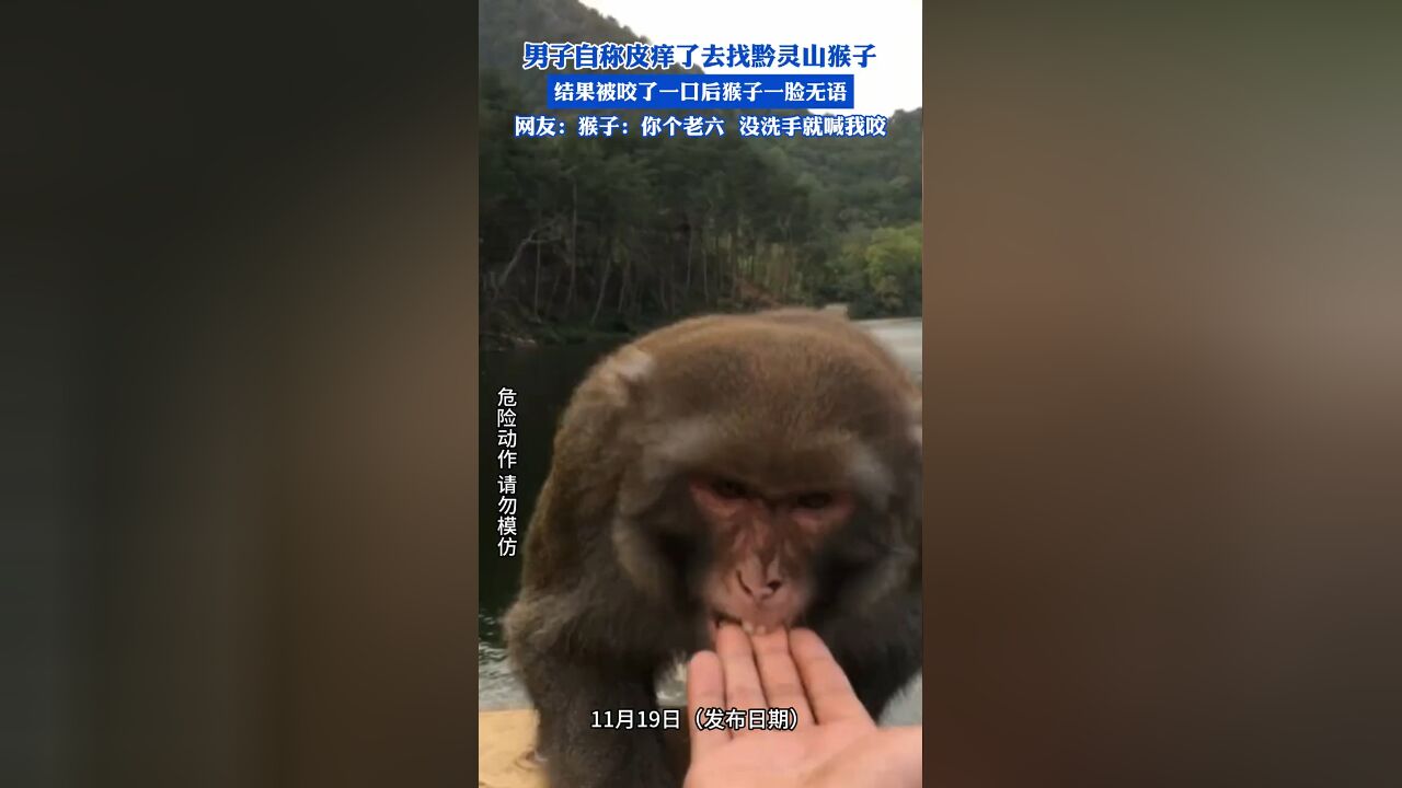 男子自称皮痒了让黔灵山猴子咬他,结果咬了一口后猴子一脸无语