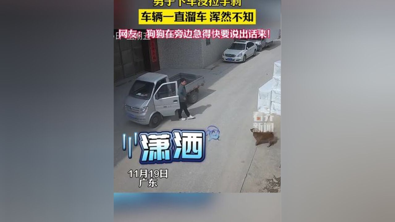 男子下车没拉手刹车辆一直溜车 浑然不知 网友:狗狗在旁边急得快要说出话来!