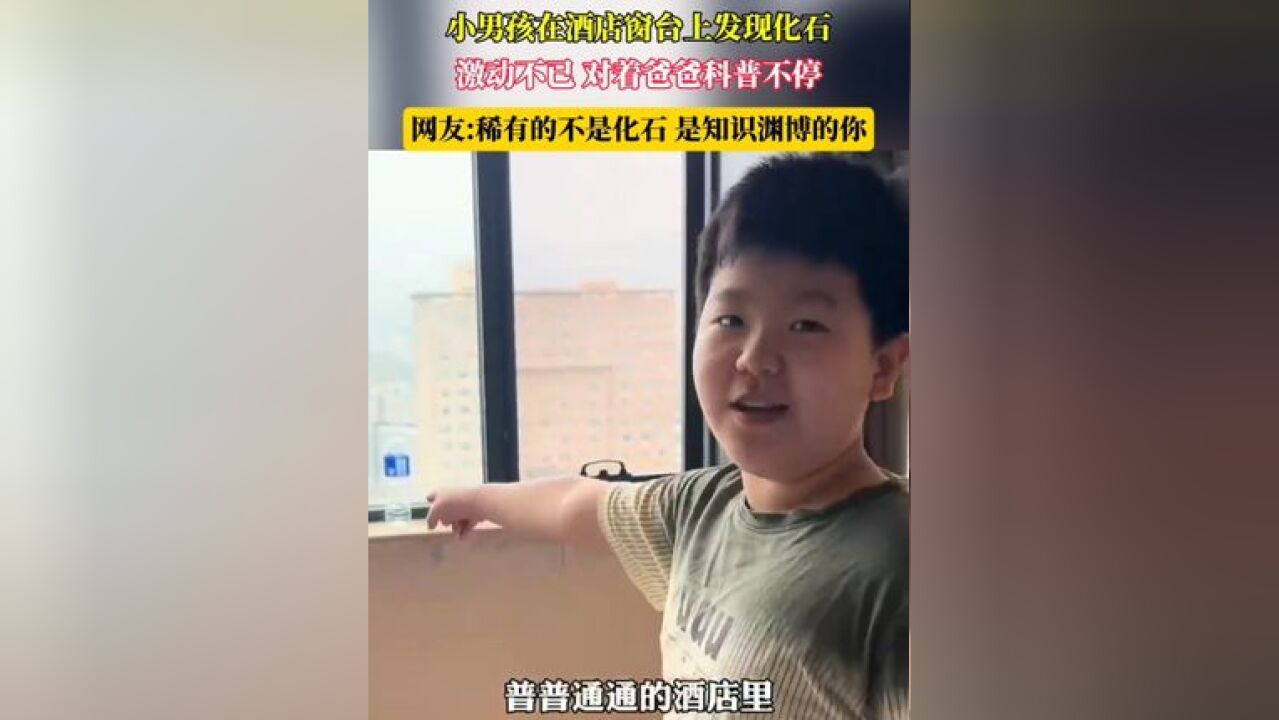 小男孩在酒店窗台上发现化石 激动不已对着爸爸科普不停 网友:稀有的不是化石 是知识渊博的你 #意不意外 #知识的快乐 #化石