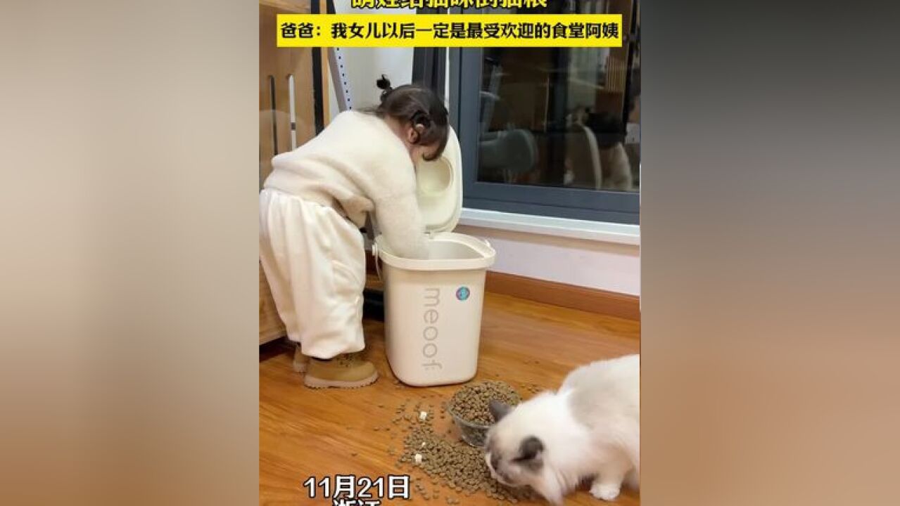 萌娃给猫咪倒猫粮 爸爸:我女儿以后一定是最受欢迎的食堂阿姨