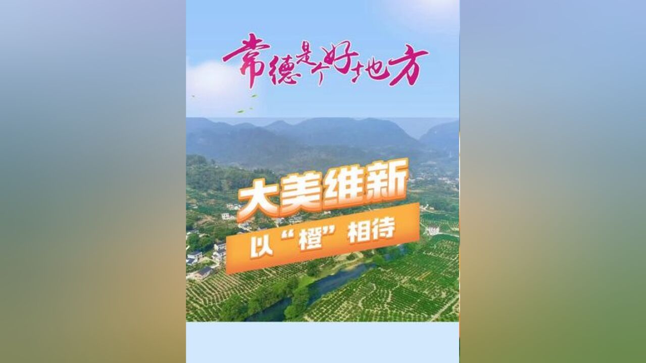 常德是个好地方|大美维新,以“橙”相待! 制作:刘彬