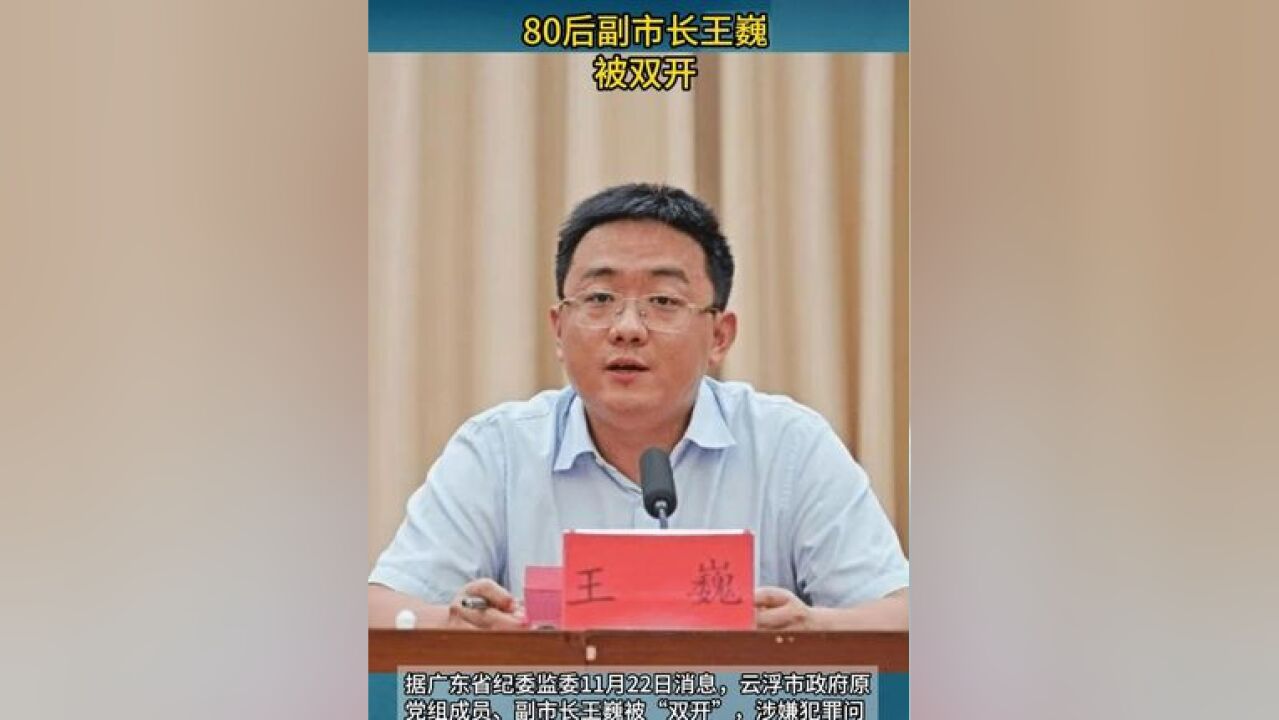 80后副市长王巍,被双开