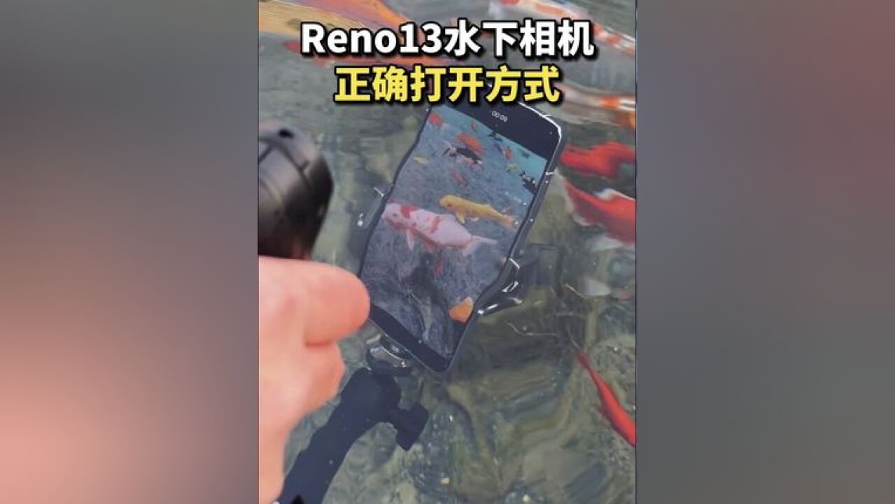 今天试了试OPPO Reno13的水下相机,强烈建议所有防水的手机都加入这个功能,太好用了!