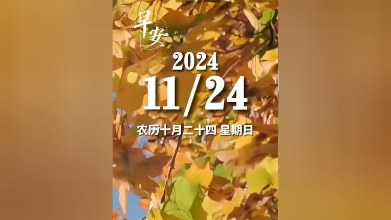 早安青岛 今天是11月24日 星期日 早安 不必借光而行,你我亦是星辰