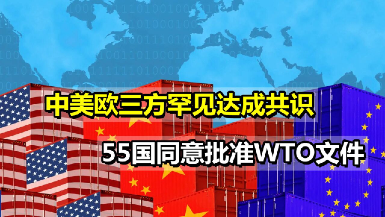 中美欧三方罕见达成共识,55国集体开绿灯,同意批准WTO文件