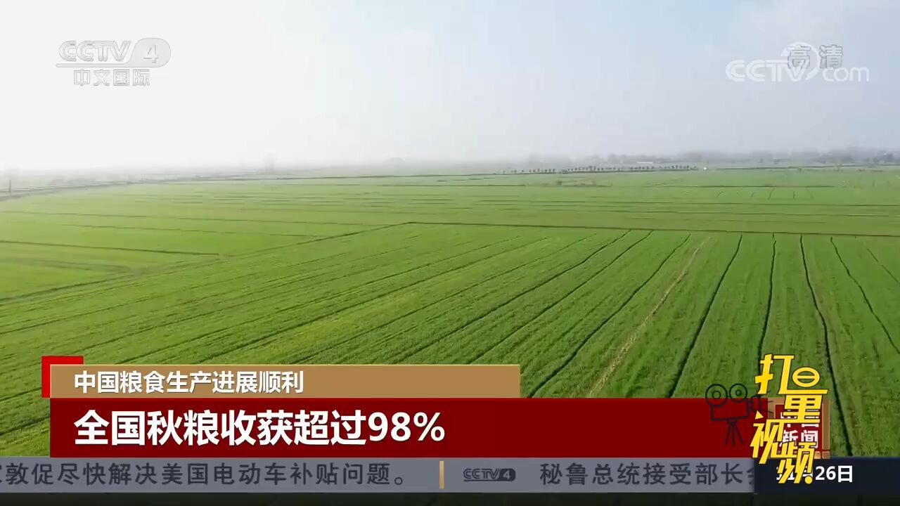 中国粮食生产进展顺利,全国秋粮收获超过98%