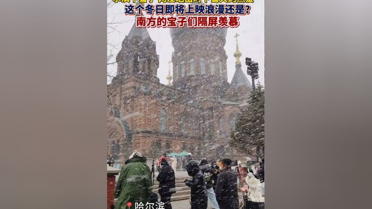 哈尔滨下雪了,网友们纷纷晒出对下雪天的浪漫