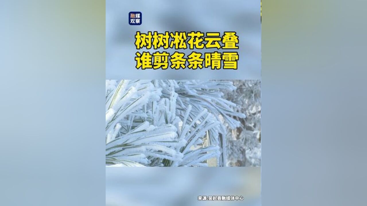 树树淞花云叠,谁剪条条晴雪?