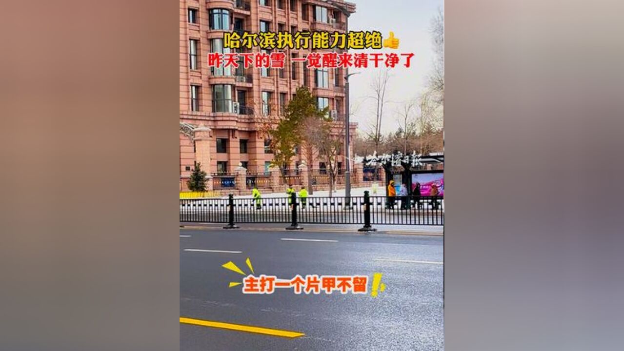 哈尔滨执行能力超绝,昨天下的雪、一觉醒来清干净了