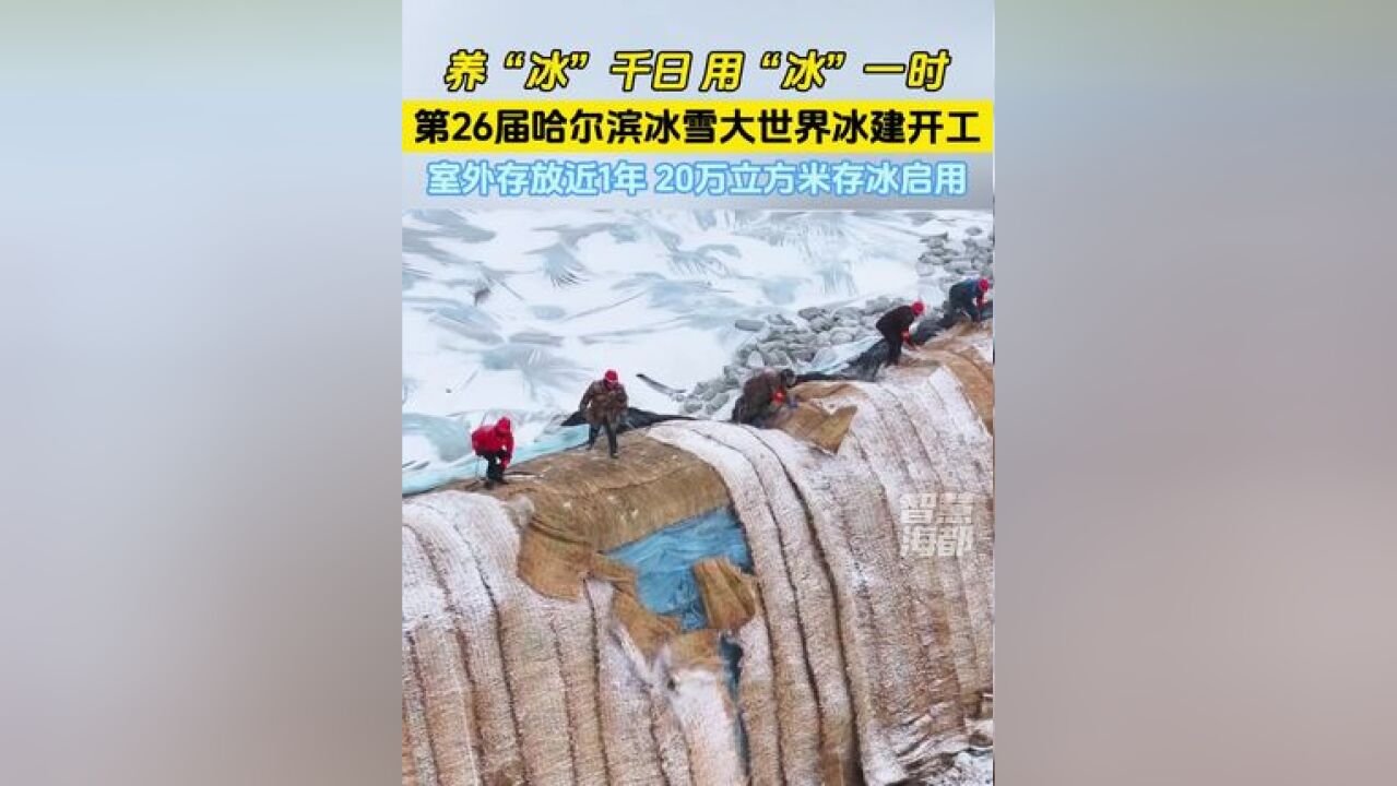 养“冰”千日,用“冰”一时!第26届哈尔滨冰雪大世界冰建开工,室外存放近1年的20万立方米存冰启用