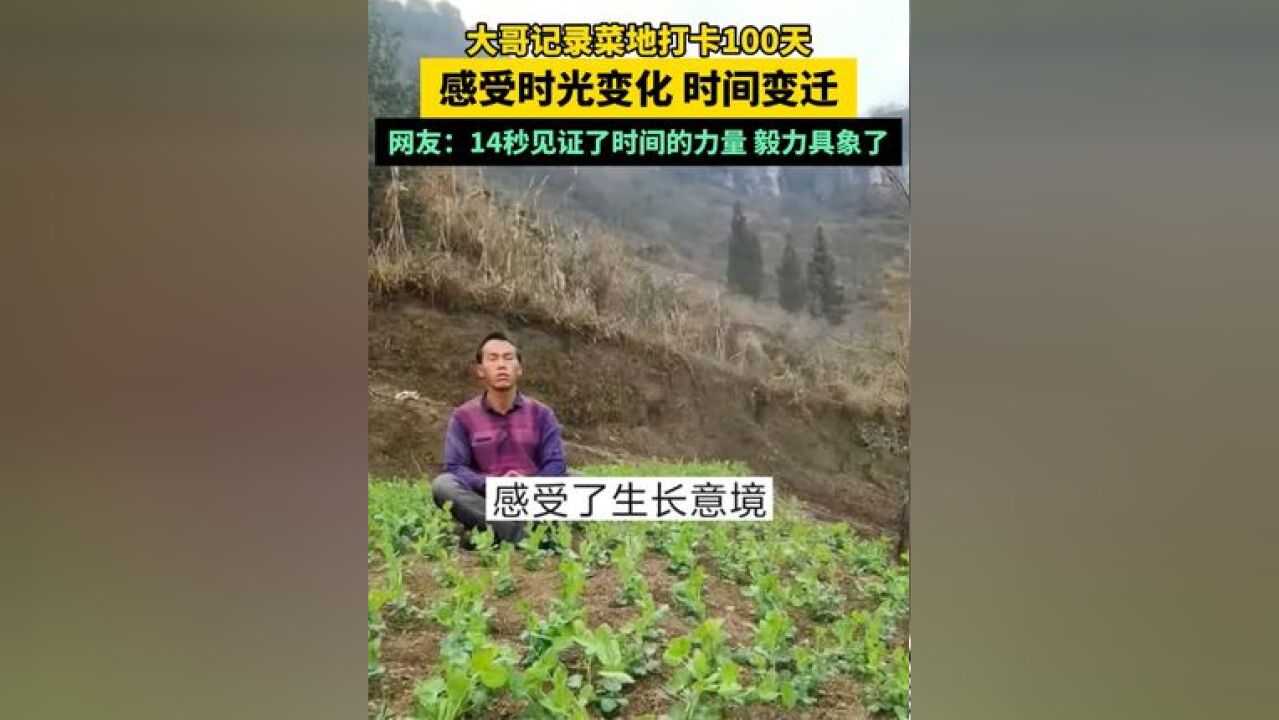 大哥记录菜地打卡100天,感受时光变化 时间变迁,网友:14秒见证了时间的力量 毅力具象了