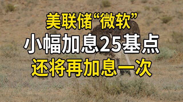 硅谷银行破产让美联储微软,加息25基点后,可能还将加息一次