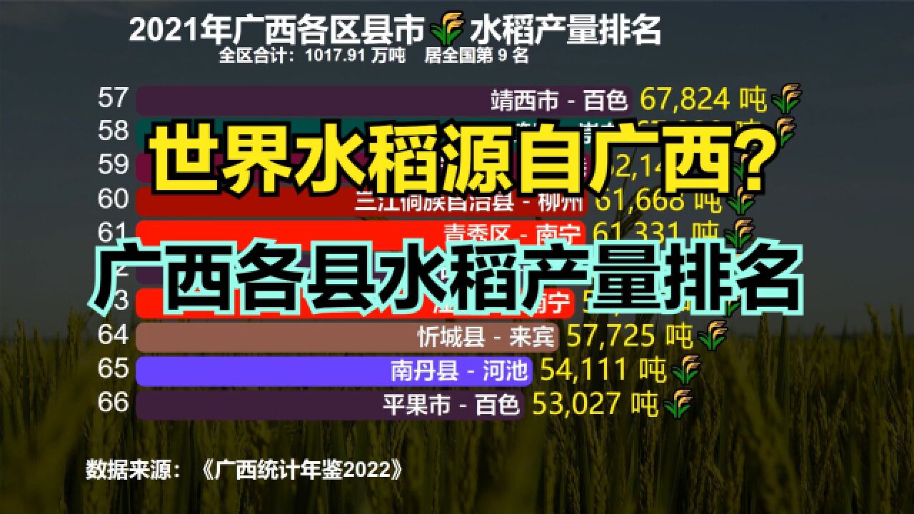 广西是世界水稻起源地!2021广西111个县大米产量排名