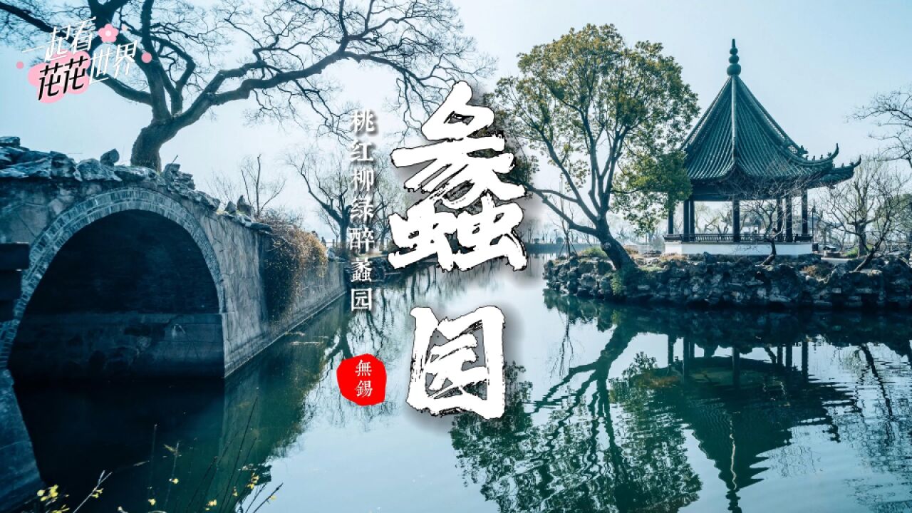 春分到 |无锡蠡园唤醒“南堤春晓,桃红柳绿”的意境