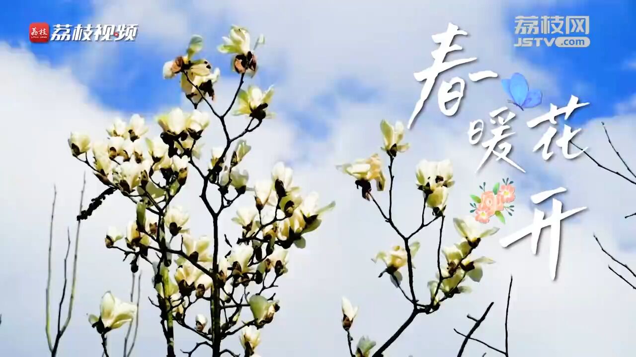 春花合集!延时摄影看春暖花开生机盎然