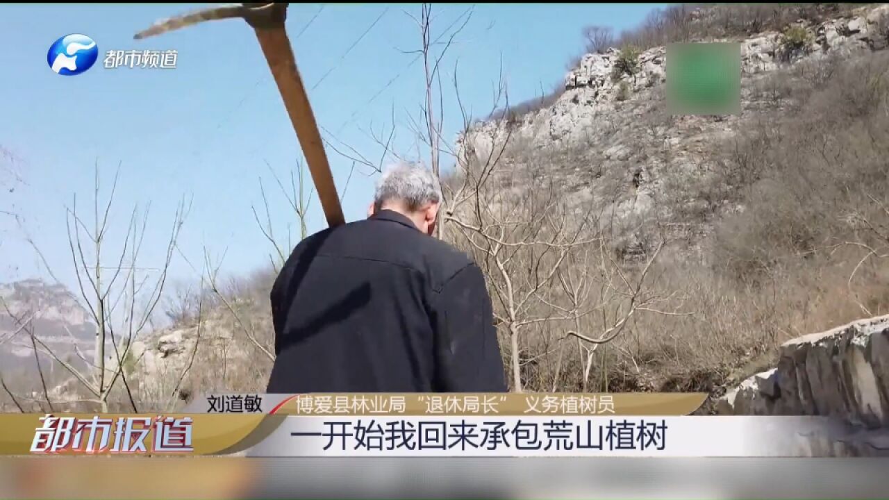 林业局“退休局长”义务植树,十年时间种活了15万棵树