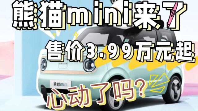 纯电代步小车再添新车,熊猫mini来了,该如何选呢?