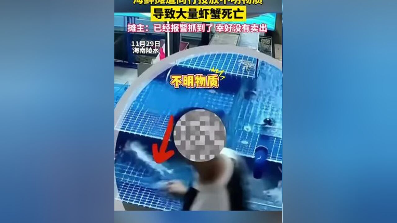 海鲜摊遭同行恶意投放不明物质,导致大量虾蟹死亡……当事店主:幸好没有卖出