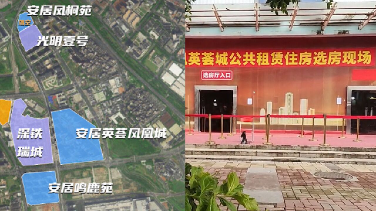 炫富女申请到深圳公租房?住建局:不审核家庭收入